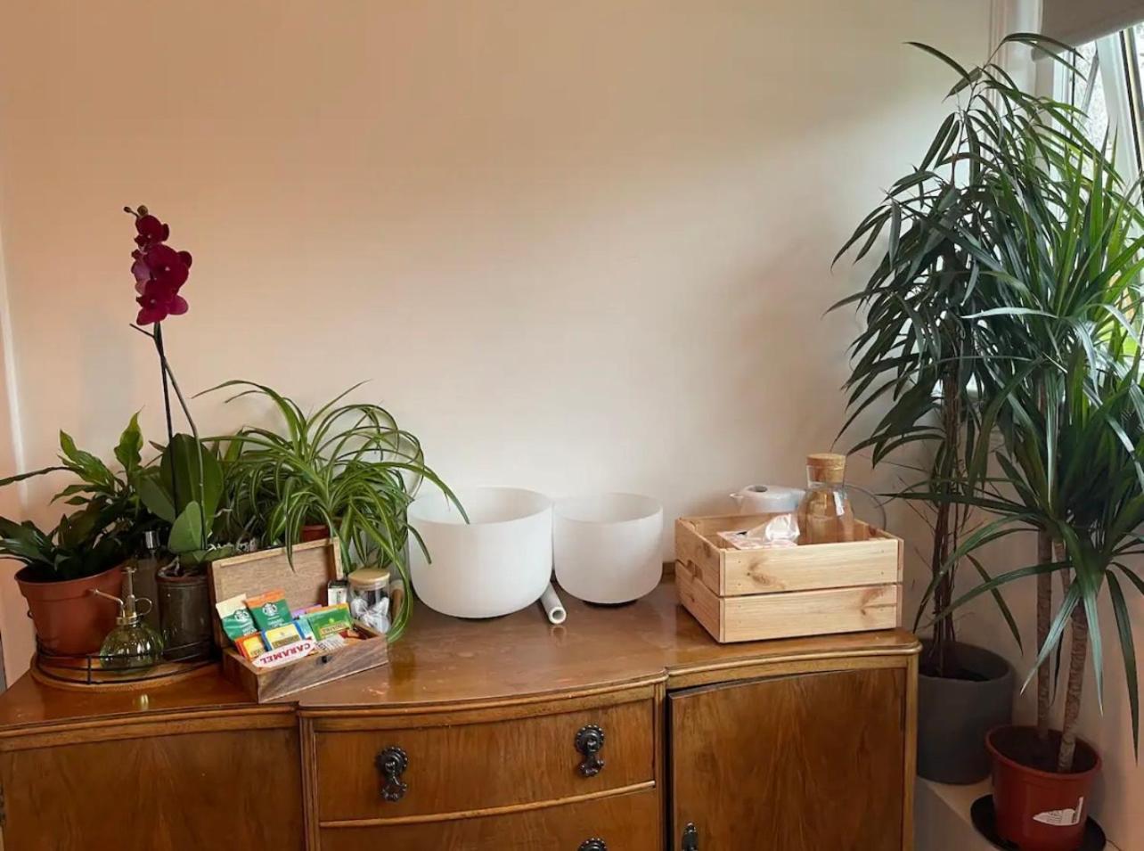 Private Room With Separate Shower And Free Parking Edinburgh Eksteriør billede